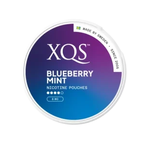 XQS Blueberry Mint 8mg Nicotine Pouches (5 Pack)