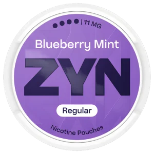 ZYN Blueberry Mint 11mg Nicotine Pouches (5 Pack)